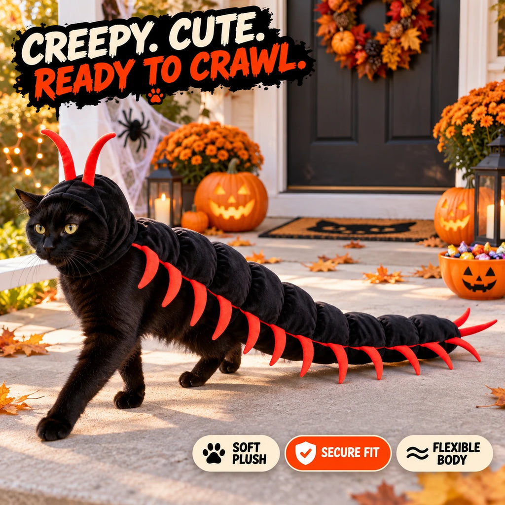 Black cat wearing a red-legged centipede costume beside Halloween pumpkins